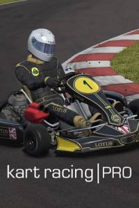 Скачать Kart Racing Pro