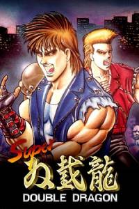 Скачать Super Double Dragon