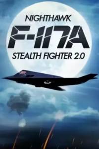 Скачать F-117A Nighthawk Stealth Fighter 2.0