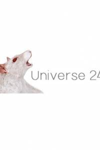 Скачать Universe 24