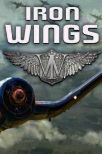 Скачать Iron Wings