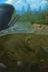 Скачать Fishing: World of Fishers