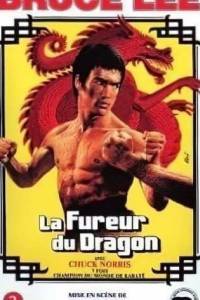 Скачать Брюс Ли: Зов Дракона