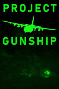 Скачать Project Gunship