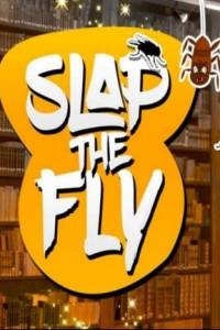 Скачать Slap The Fly