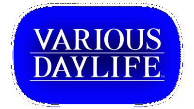 VARIOUS DAYLIFE Логотип