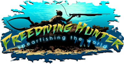Freediving Hunter Spearfishing the World Логотип