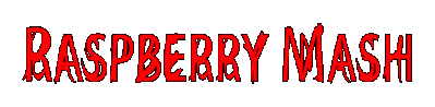 RASPBERRY MASH Логотип