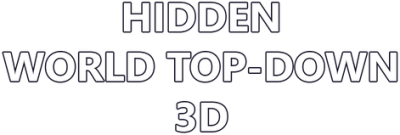 Hidden World Top-Down 3D Логотип