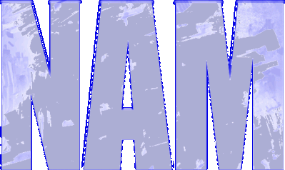 NAM Логотип
