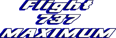 Flight 737 - MAXIMUM Логотип