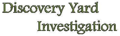 Discovery Yard Investigation Логотип