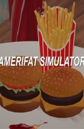 Amerifat Simulator