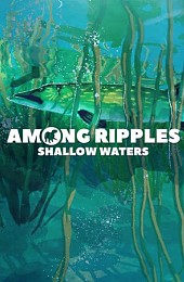 Among Ripples: Shallow Waters