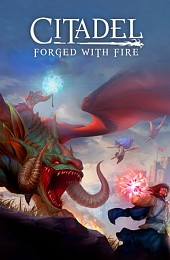 Citadel: Forged with Fire