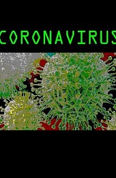 Coronavirus 1.0