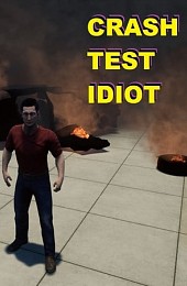 CRASH TEST IDIOT