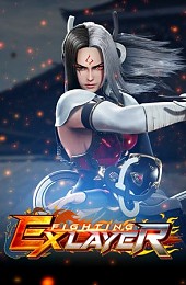 FIGHTING EX LAYER