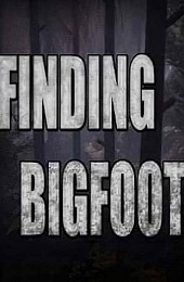 Finding Bigfoot