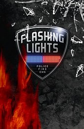 Flashing Lights: Police, Firefighting, Emergency Services Simulator