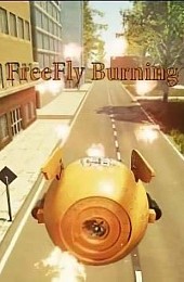 FreeFly Burning