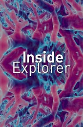 Inside Explorer