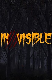 Invisible