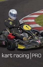 Kart Racing Pro