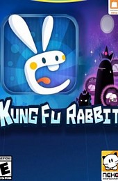 Kung Fu Rabbit