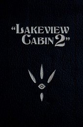 Lakeview Cabin 2