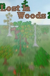 Lost In Woods 2