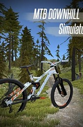 MTB Downhill Simulator