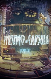 Pnevmo-Capsula: Domiki