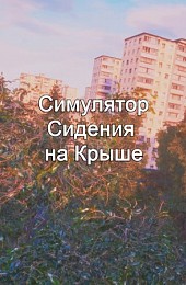 Симулятор Сидения на Крыше