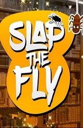 Slap The Fly