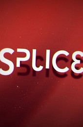 Splice