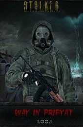 Сталкер: Call of Pripyat - Путь в Припять + Add-on