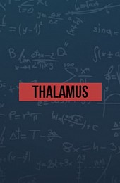 Thalamus