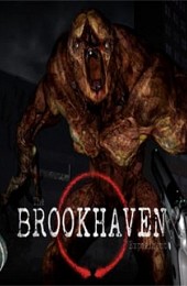 The Brookhaven Experiment