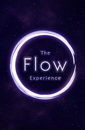 The Flow Experience