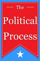 The Political Process