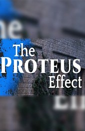 The Proteus Effect