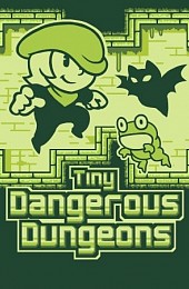 Tiny Dangerous Dungeons