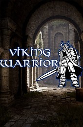 Viking Warrior