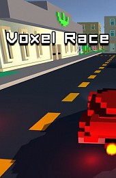 Voxel Race