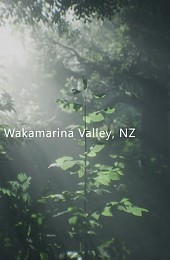 Wakamarina Valley, New Zealand