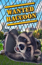 Wanted Raccoon